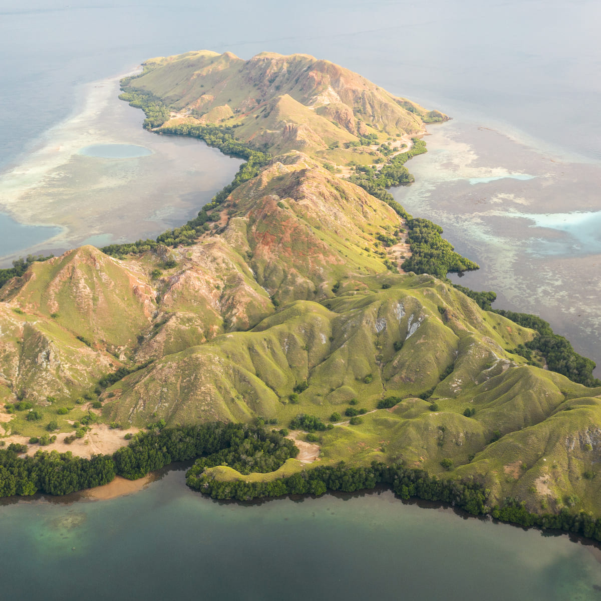 Siaba Island - Turtle Sanctuary and Snorkeling Spot Komodo