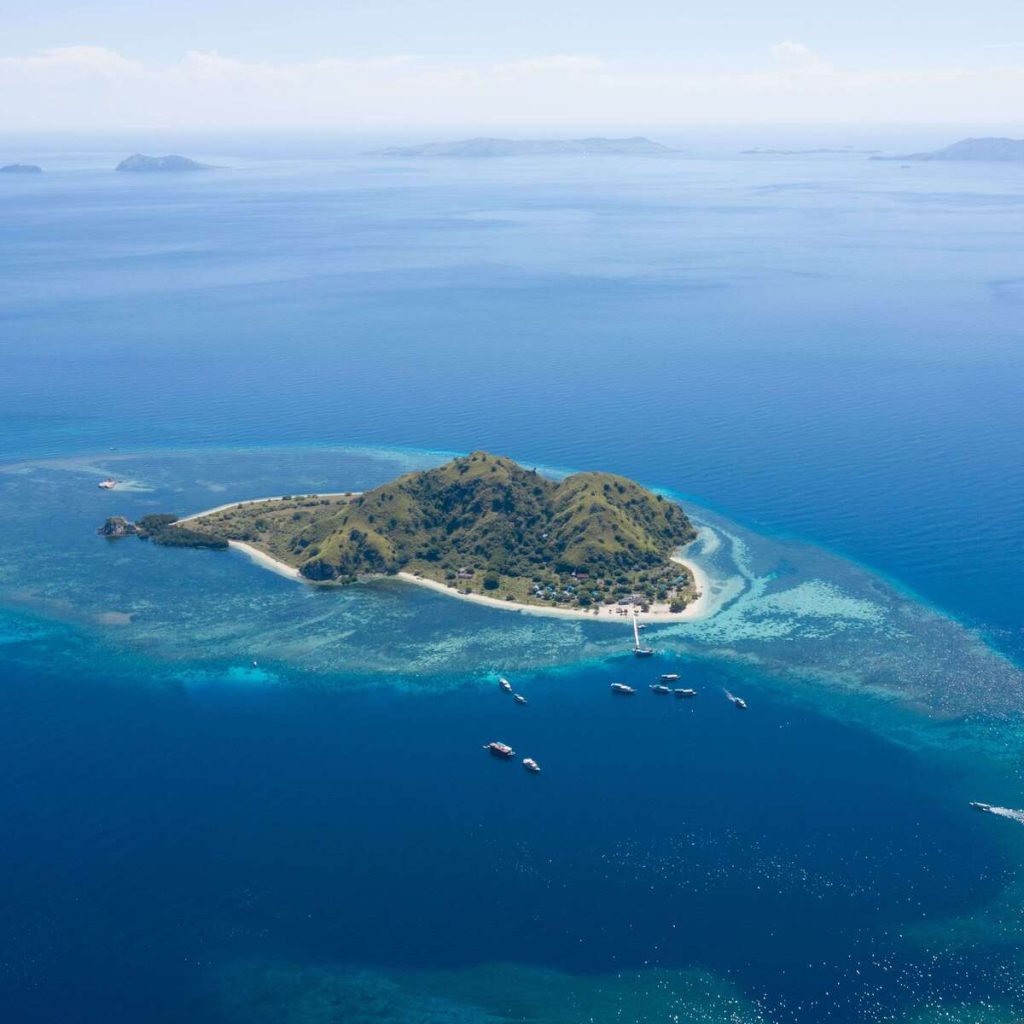 Phinisi Liveaboard or Speedboat Day Trip: Which Is Better for Komodo?