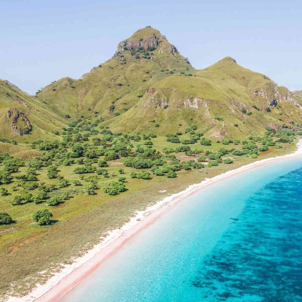 Cheapest Komodo Open Trip Price Per Person in 2027, Compared